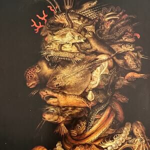 Arcimboldo, Allegory of Water, Painting, Book Page, Art Print, ~ 250802-WH 350 H